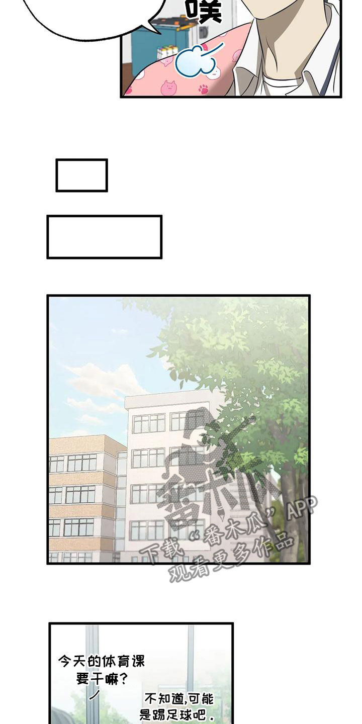 18.jpg