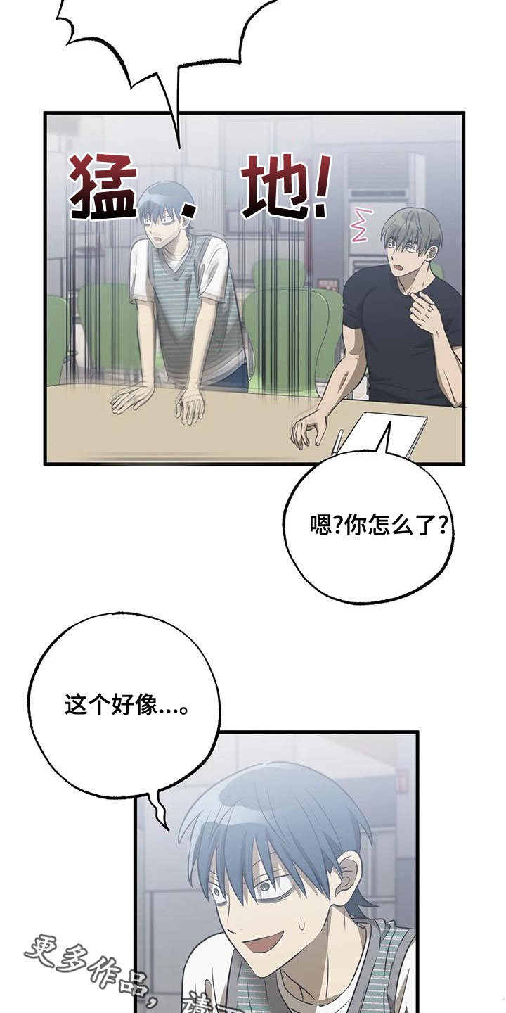 19.jpg