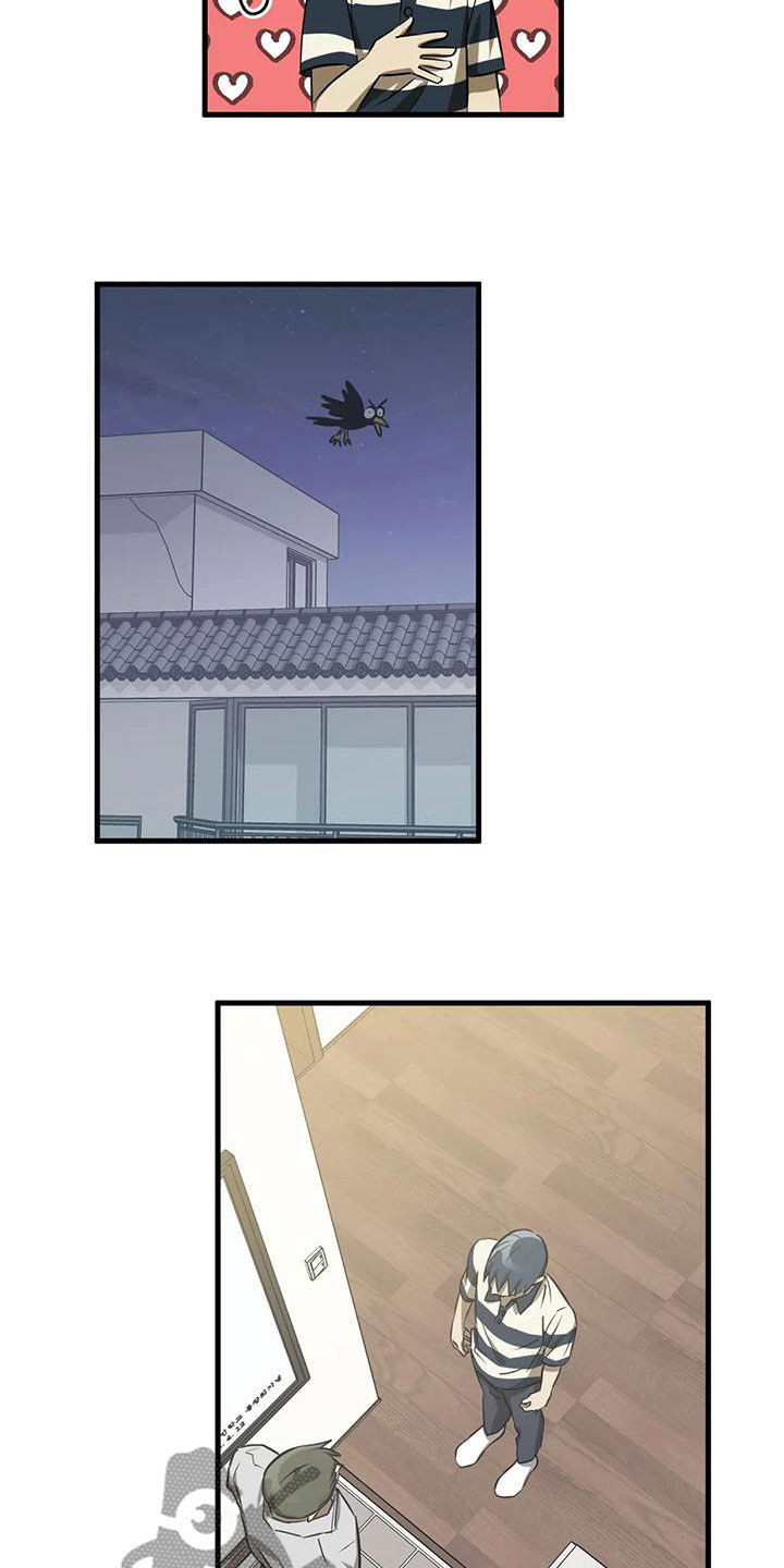 13.jpg