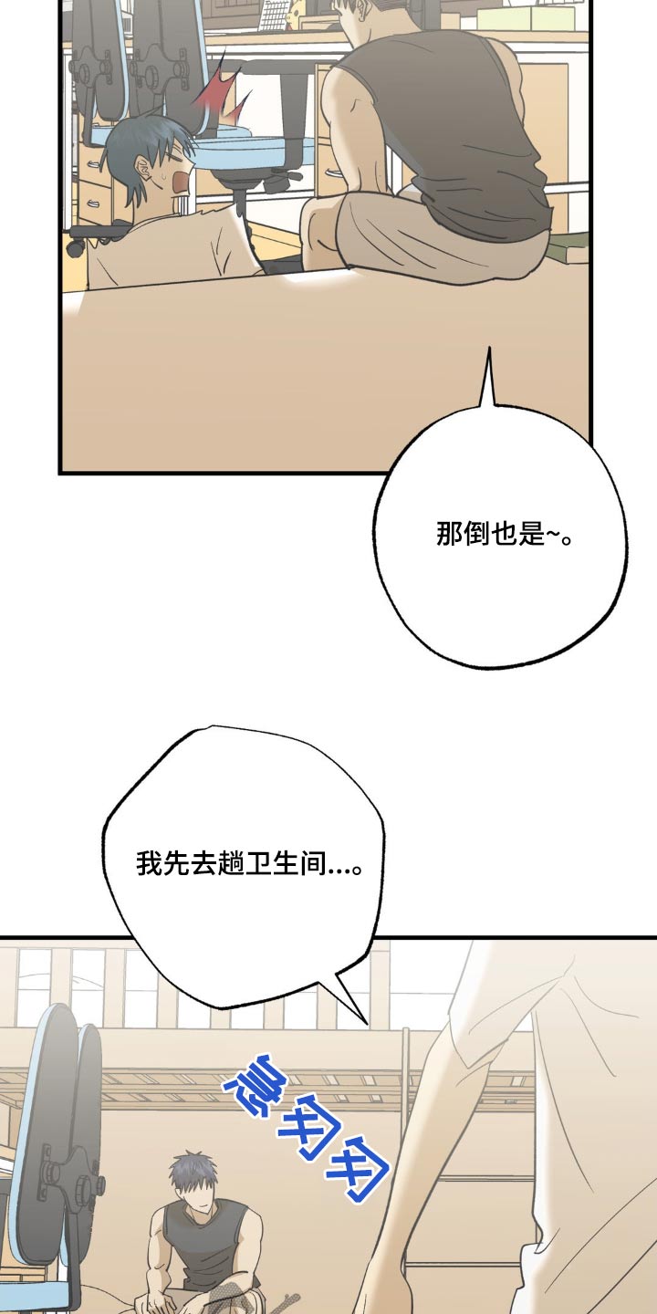 15.jpg