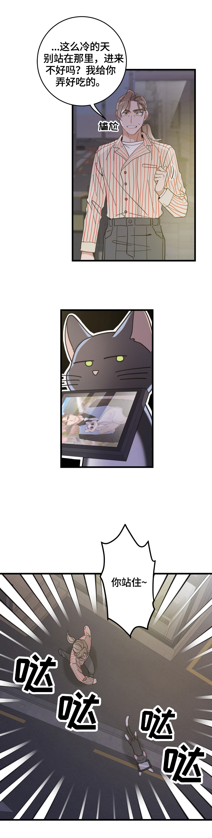 13.jpg