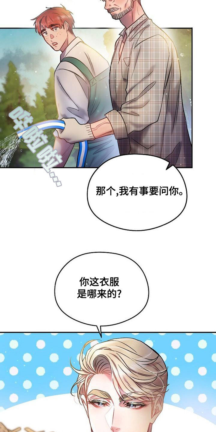 21.jpg