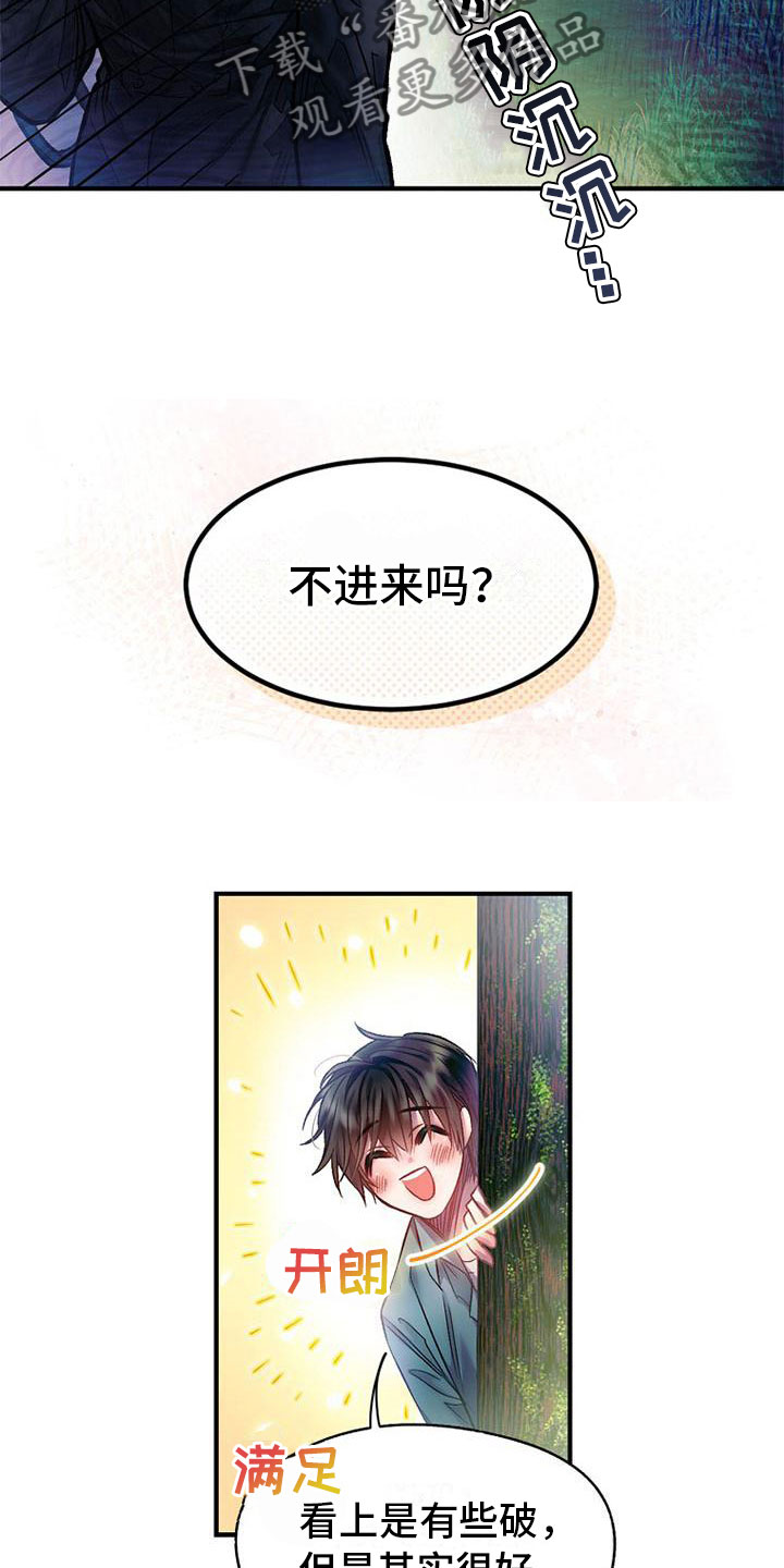 11.jpg