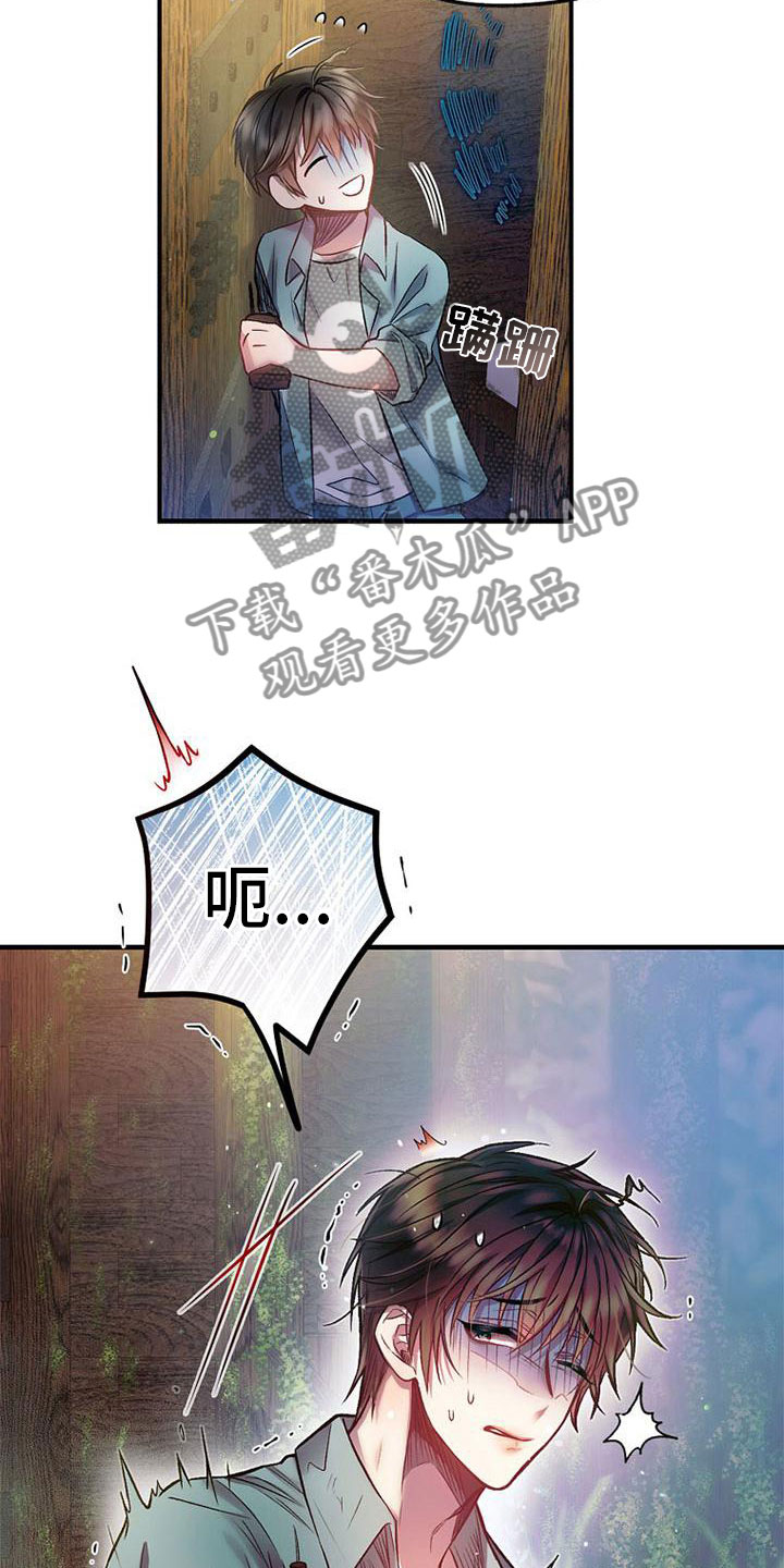 13.jpg