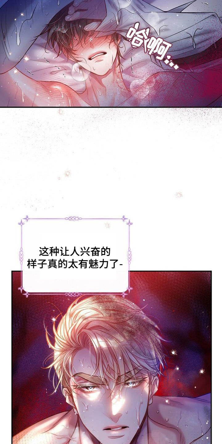 21.jpg