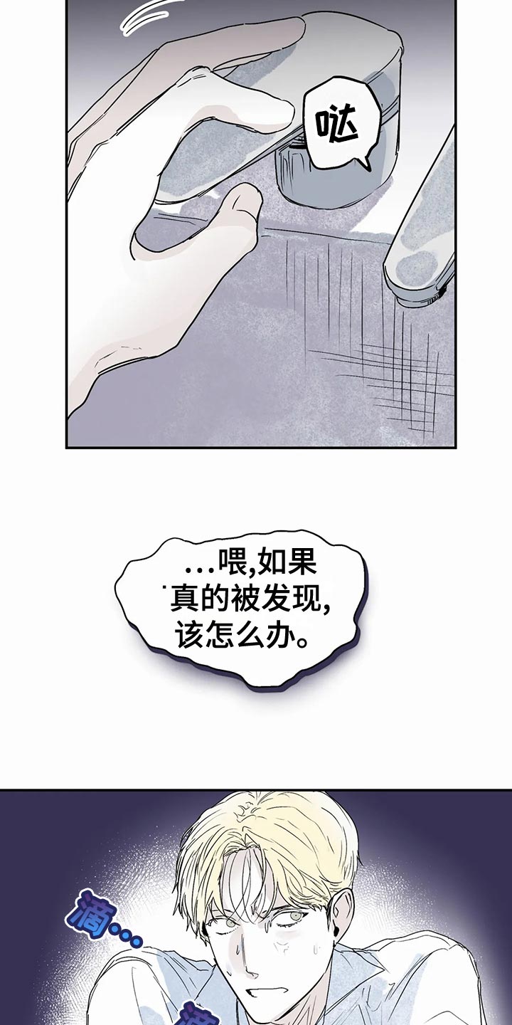 16.jpg