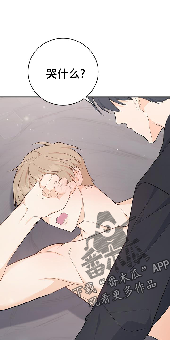 /template/pc/baozi/image/load.gif