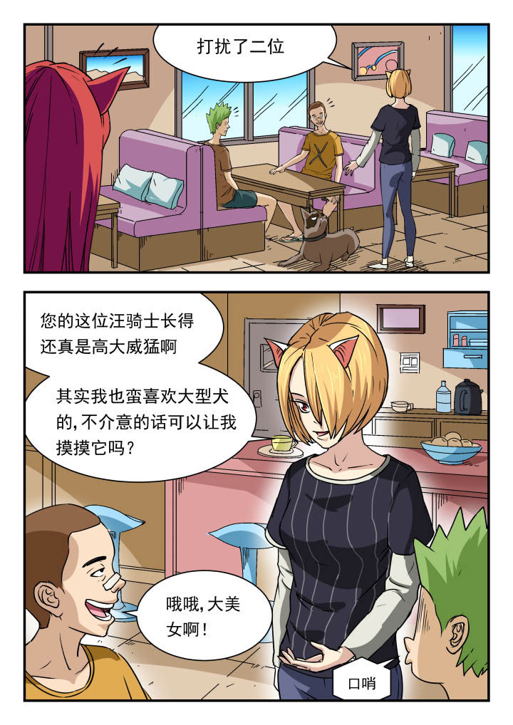 5.jpg
