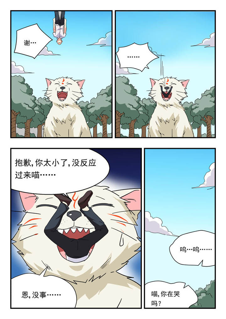 7.jpg