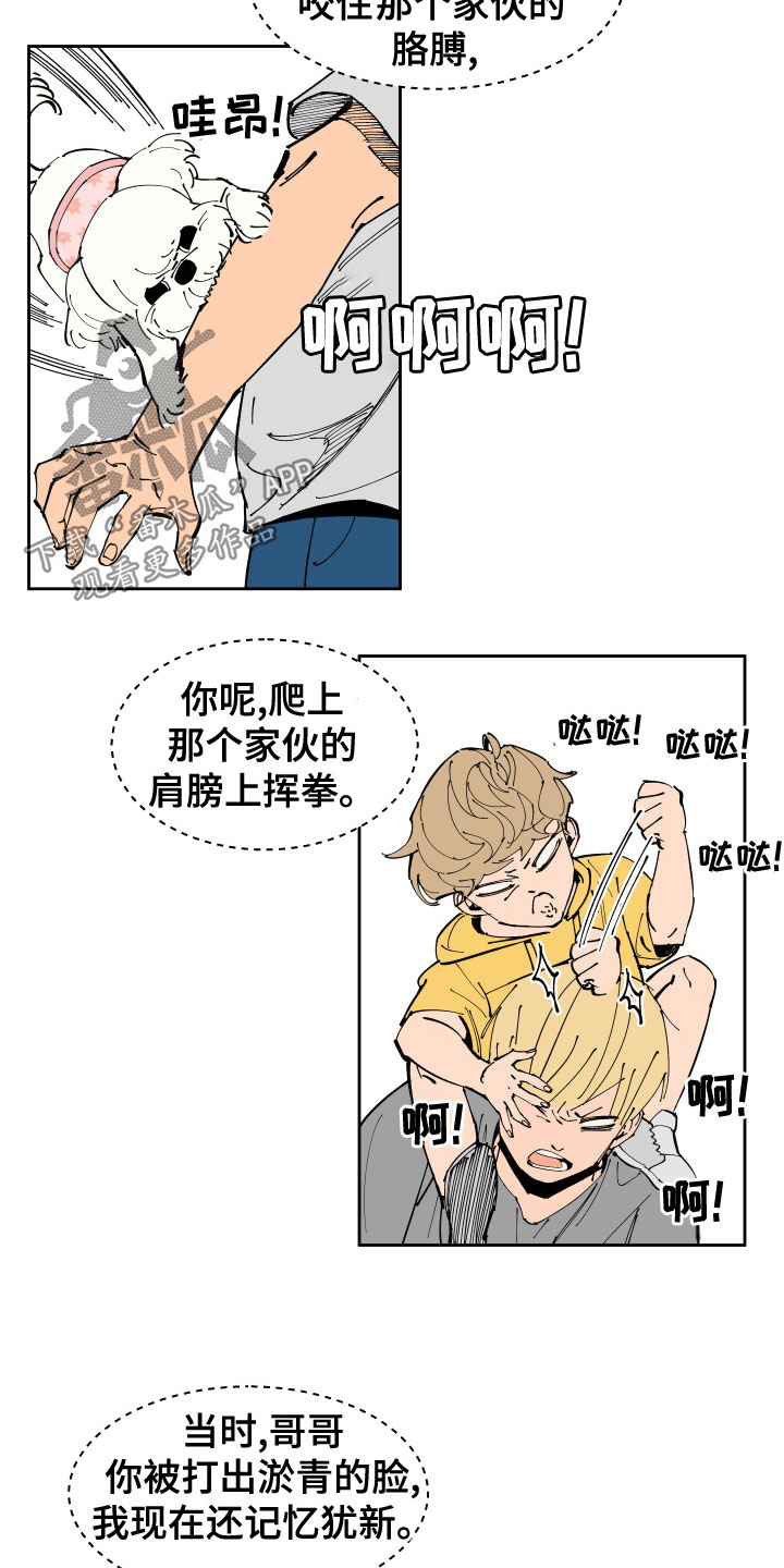 17