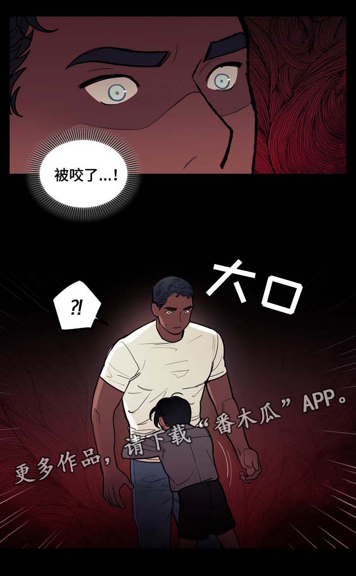 15.jpg