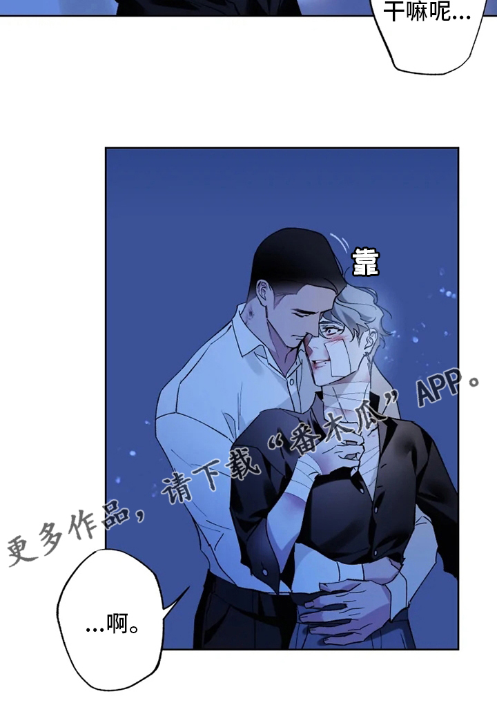 21
