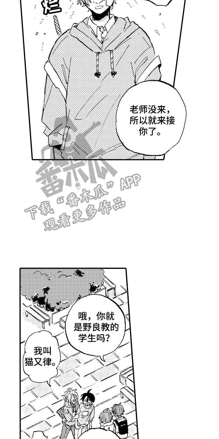 17