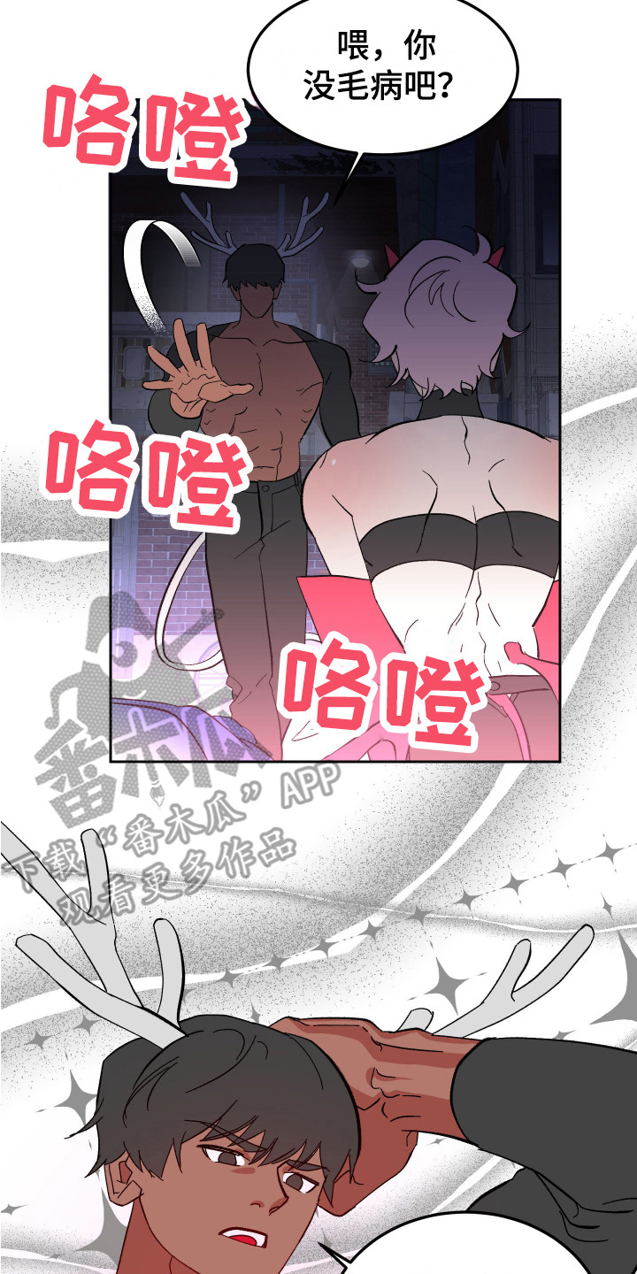 17