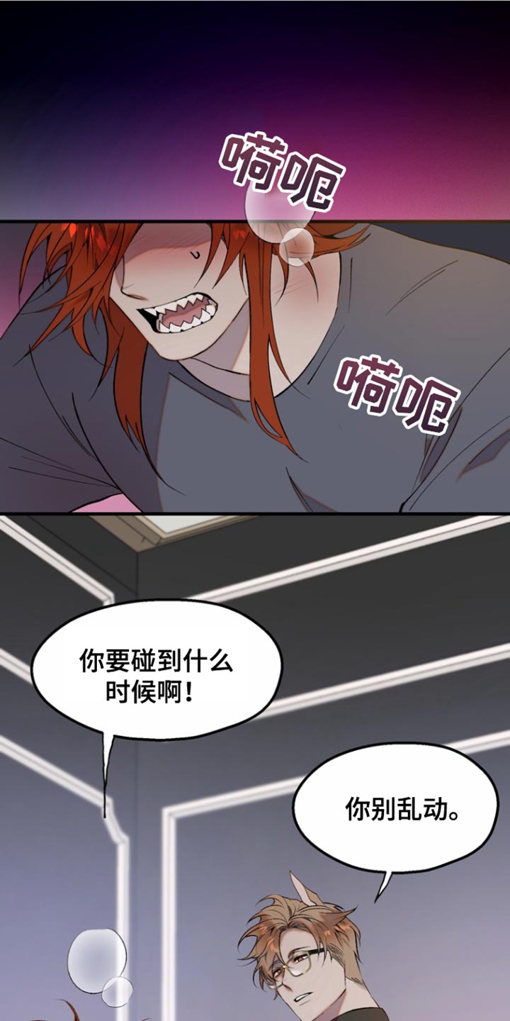 夜吻恶徒