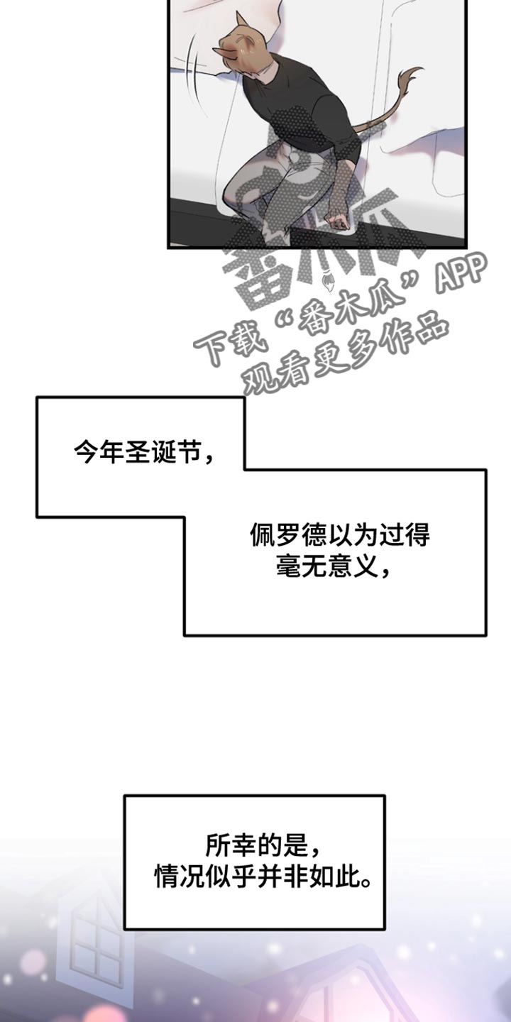夜吻恶徒