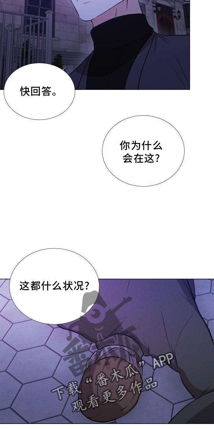 /template/pc/baozi/image/load.gif