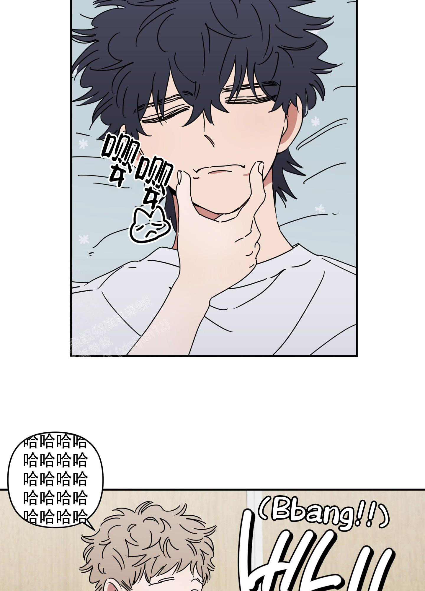 23
