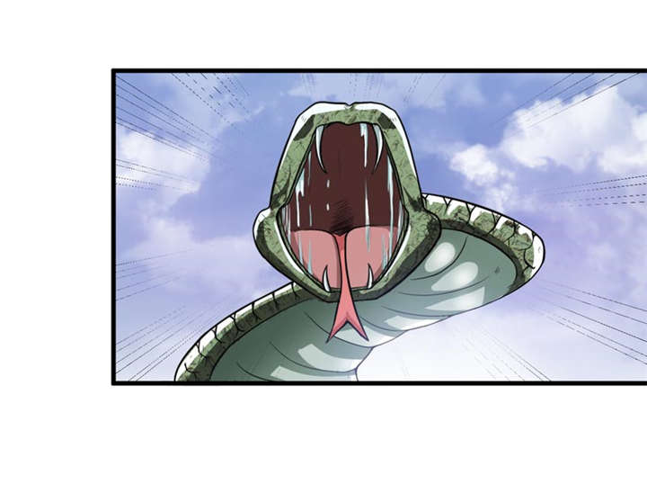 41.jpg