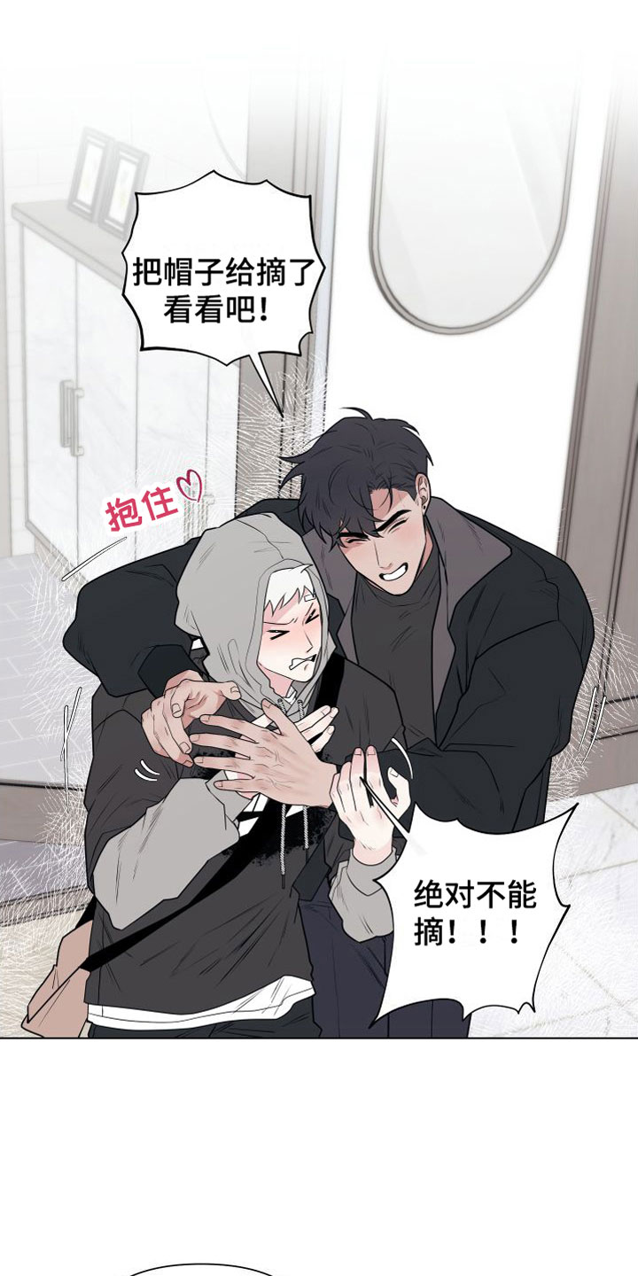 21