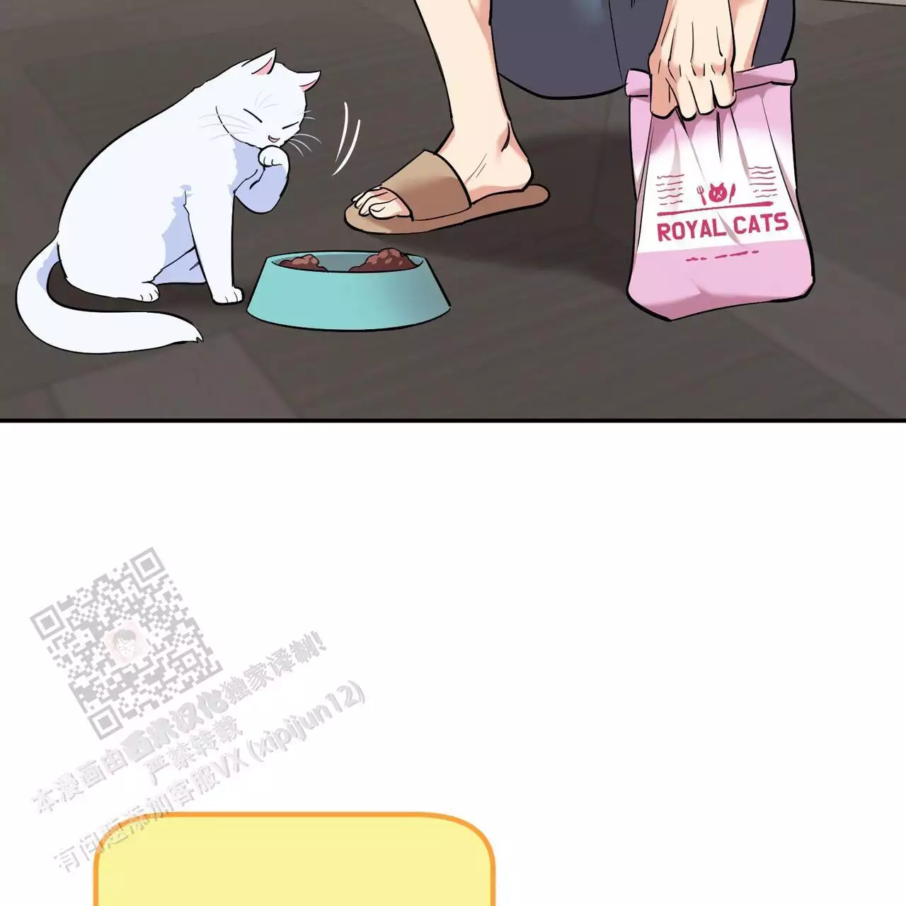 14.jpg