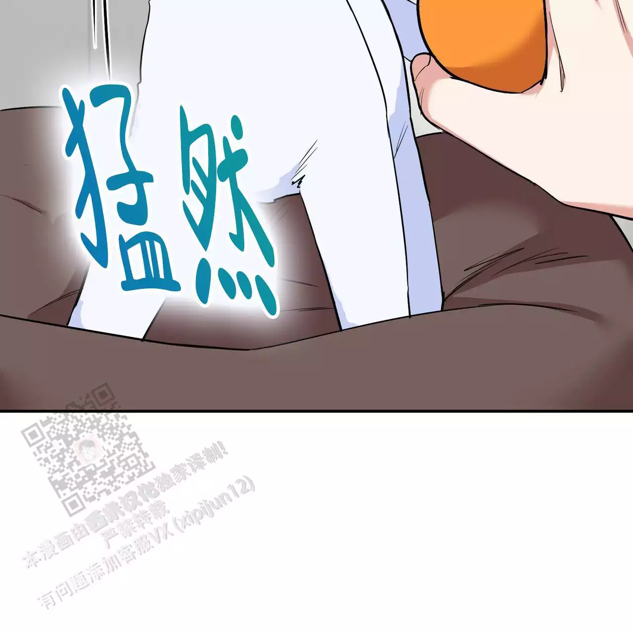 41.jpg