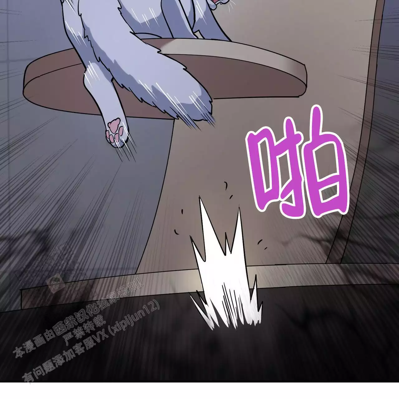 19.jpg