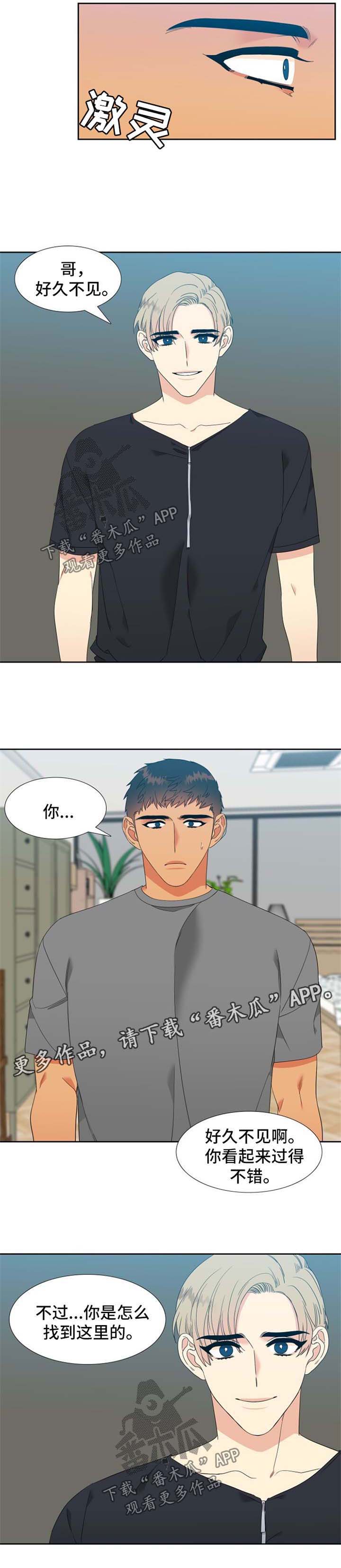 4.jpg