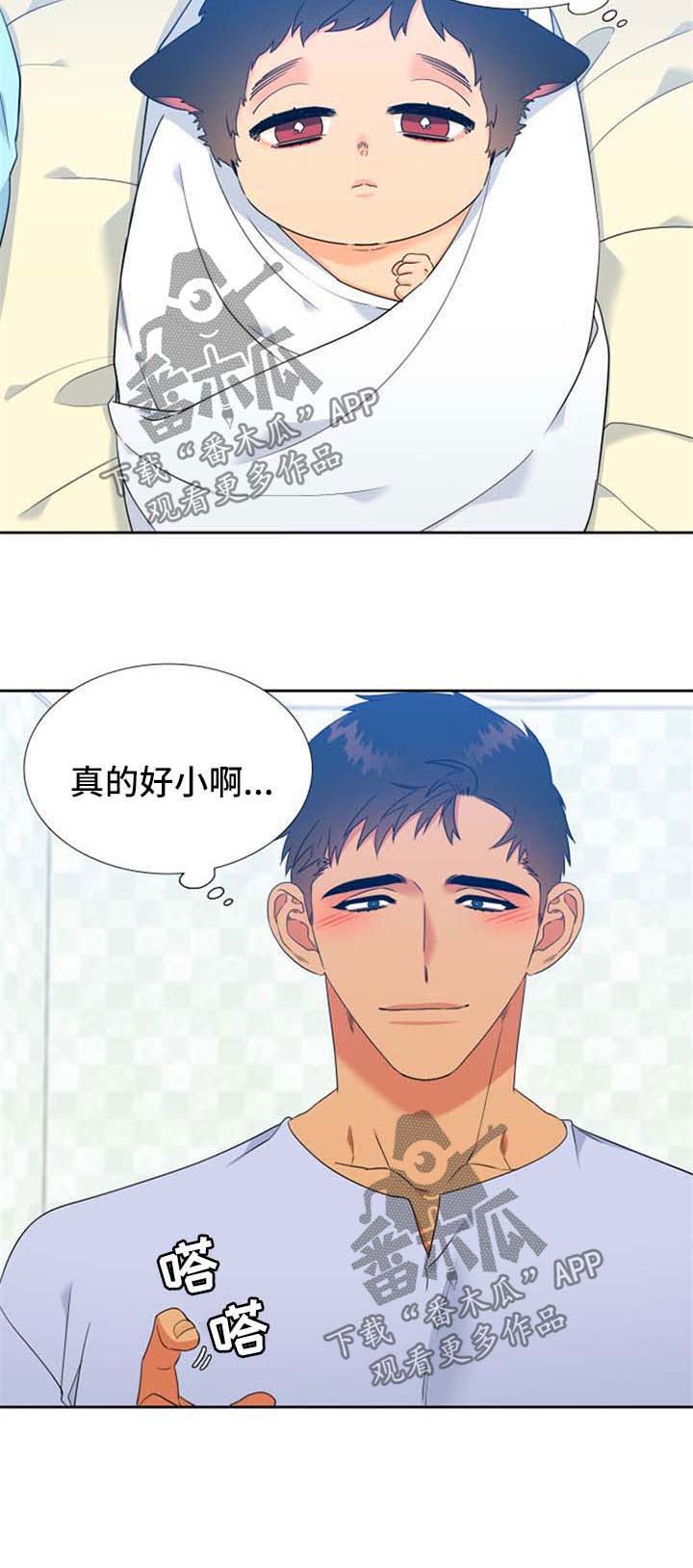 9.jpg