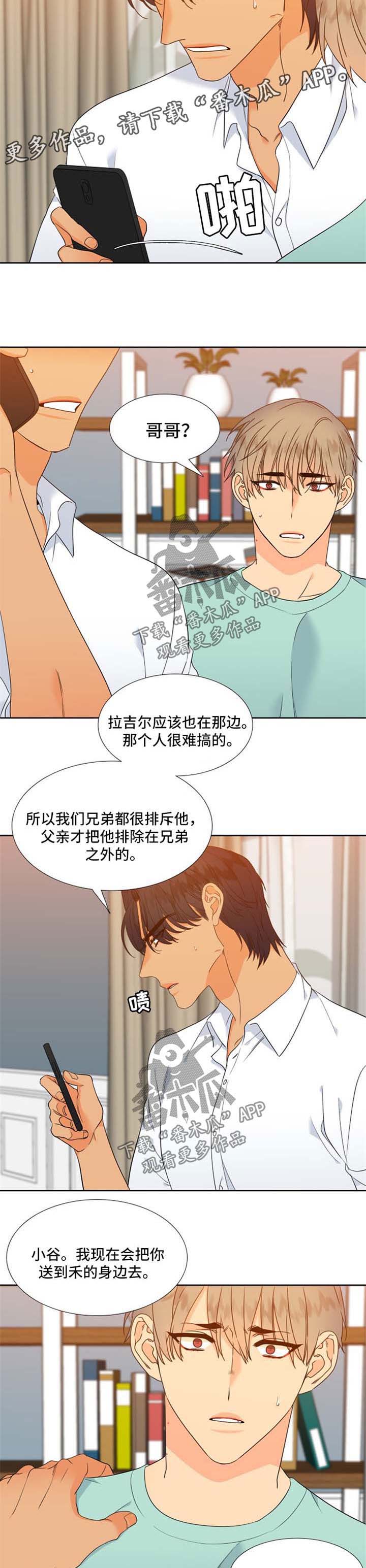 3.jpg