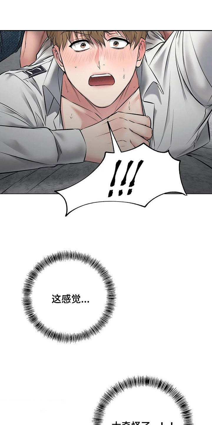 35.jpg