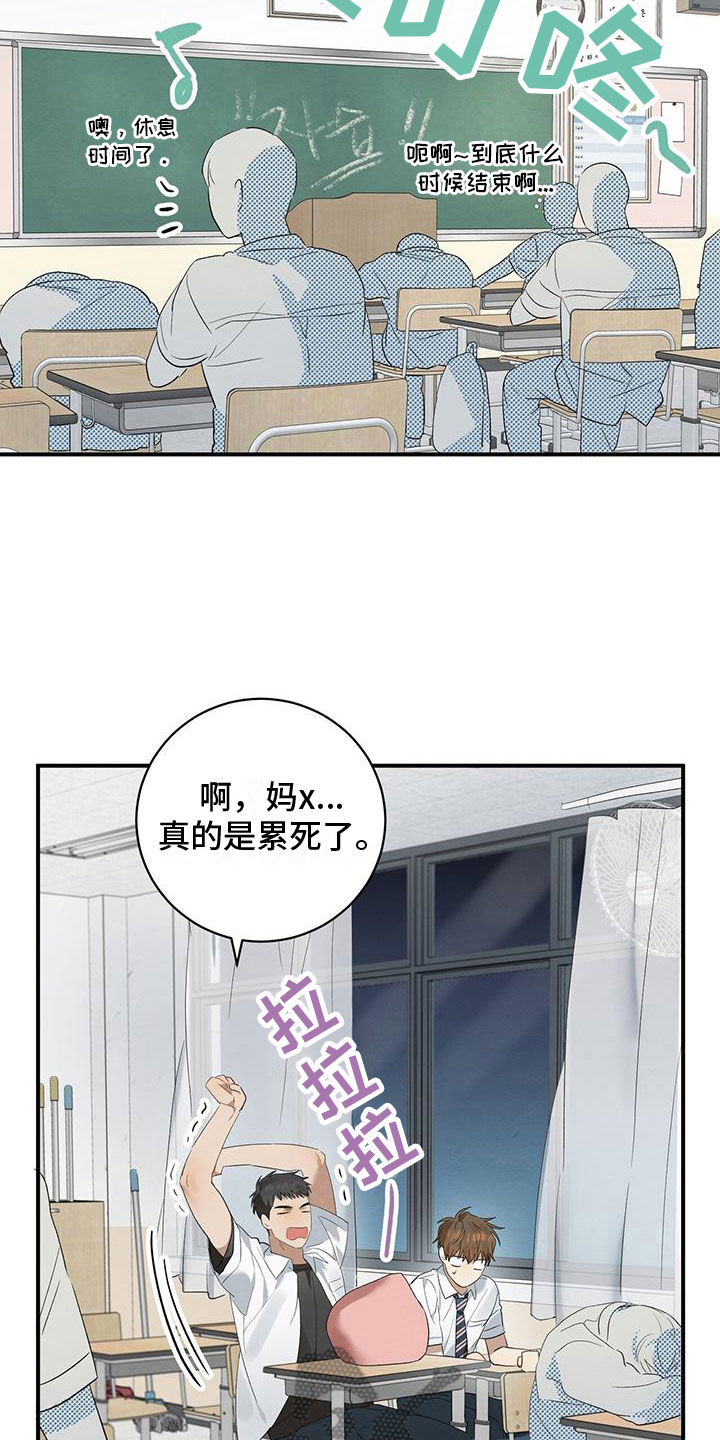 23