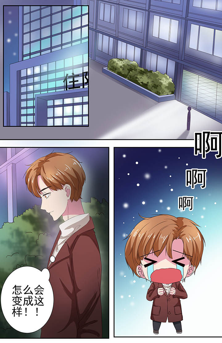 /template/pc/baozi/image/load.gif