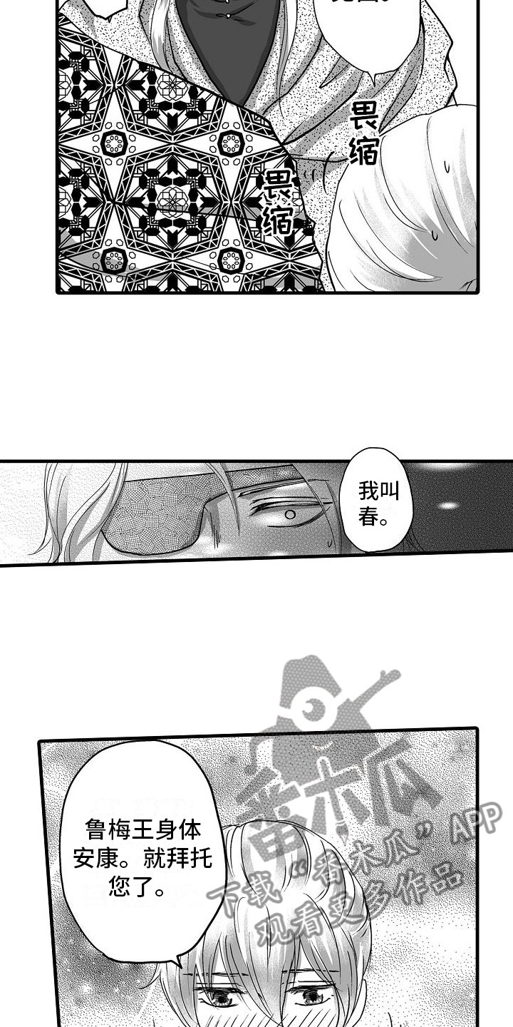 7.jpg