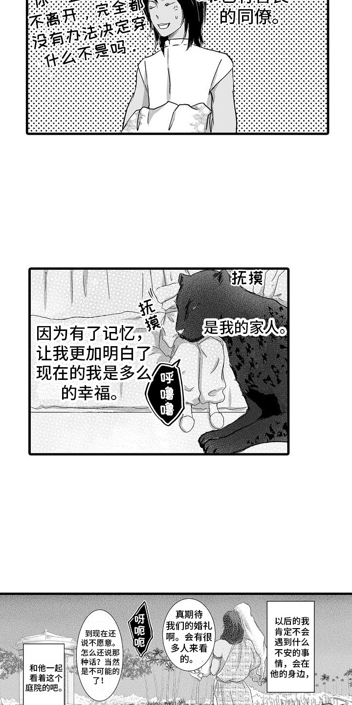 19.jpg