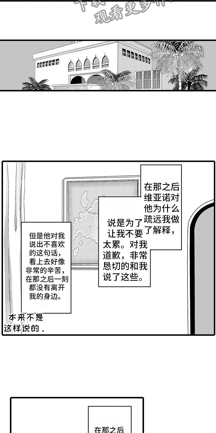 13.jpg