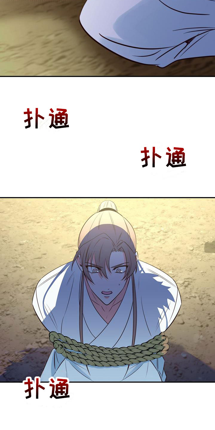 31.jpg