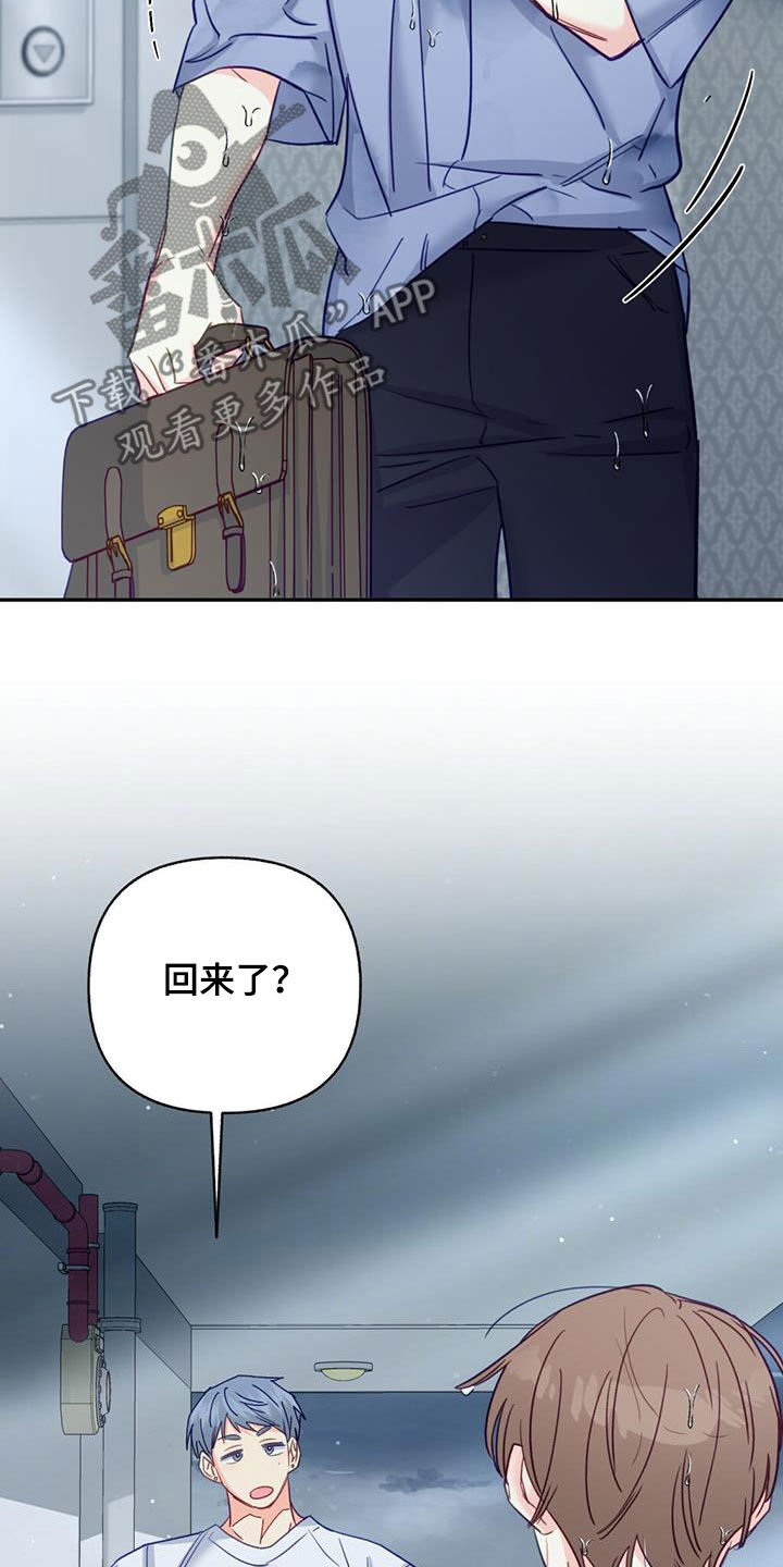 31.jpg