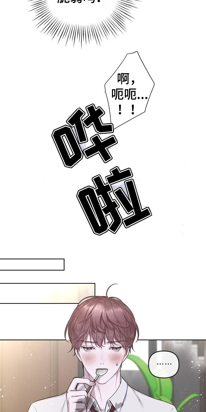15.jpg