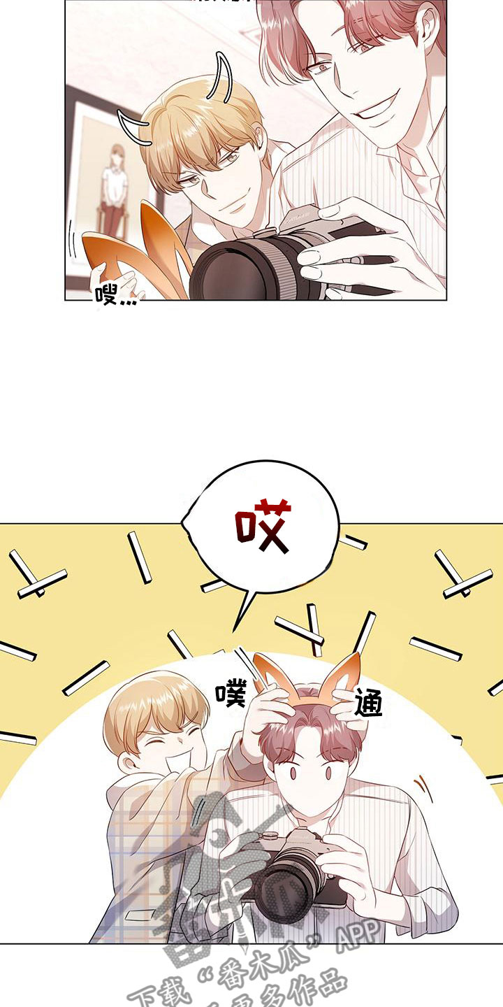 15.jpg