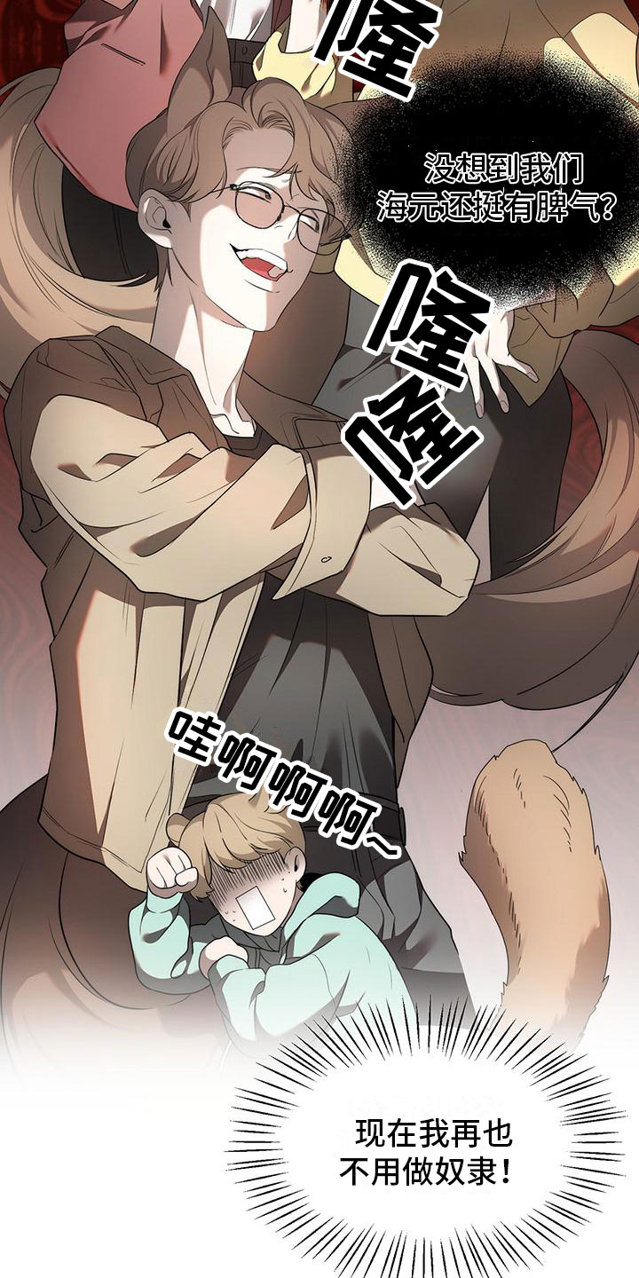 13.jpg