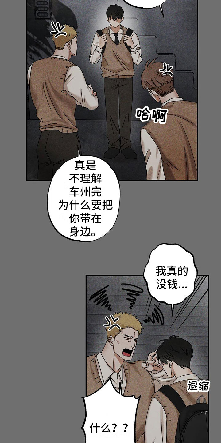 23