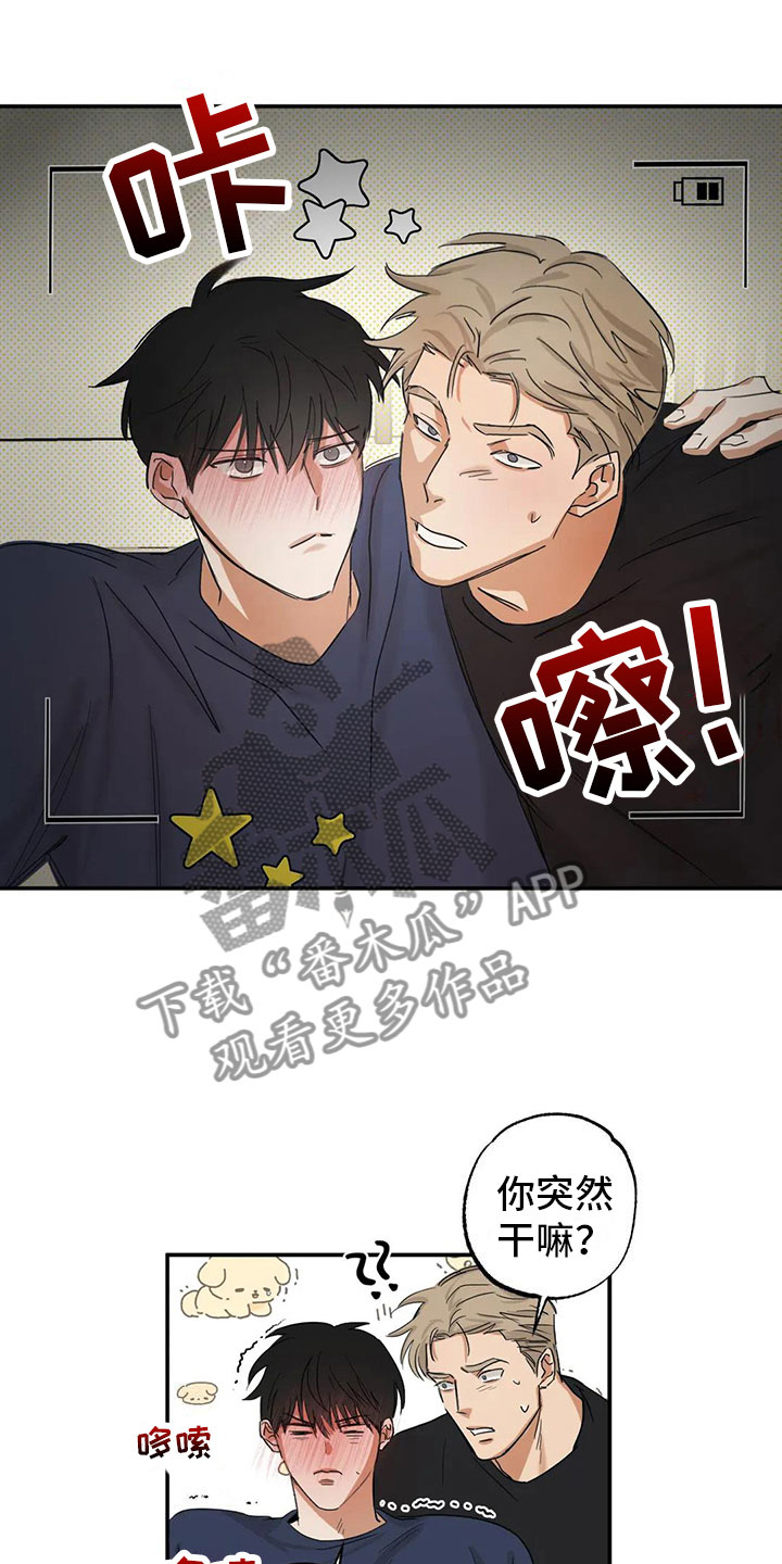 19