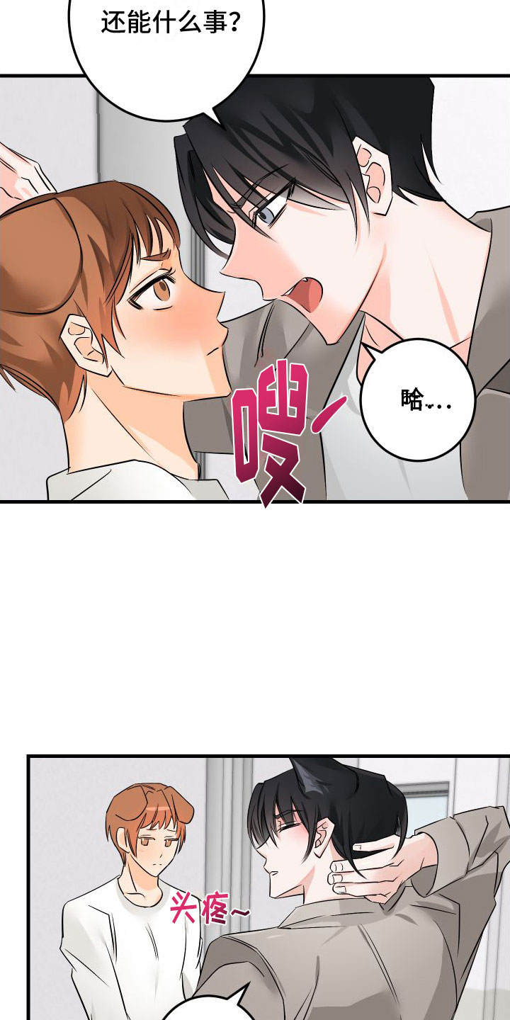 19