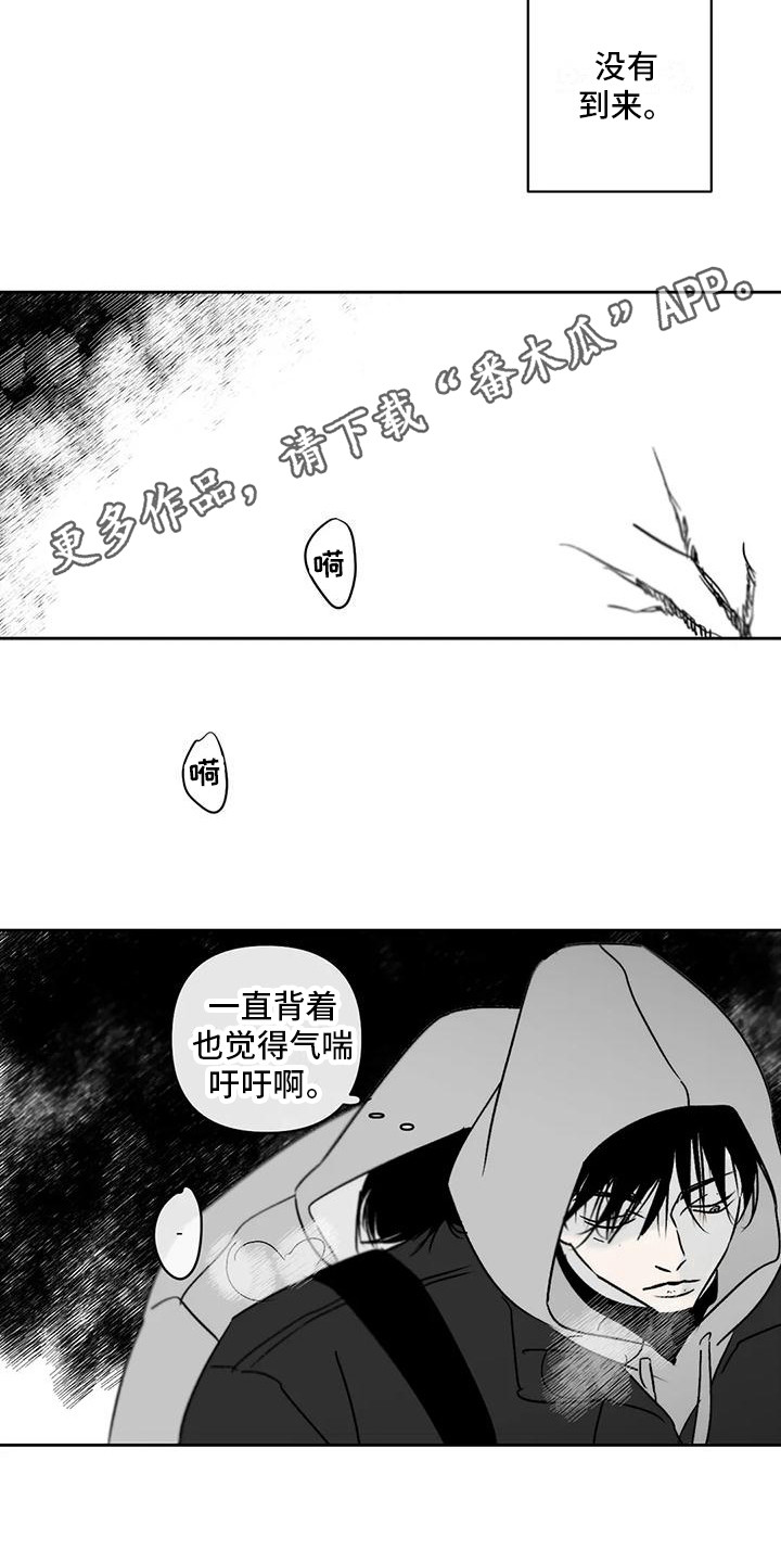 /template/pc/baozi/image/load.gif