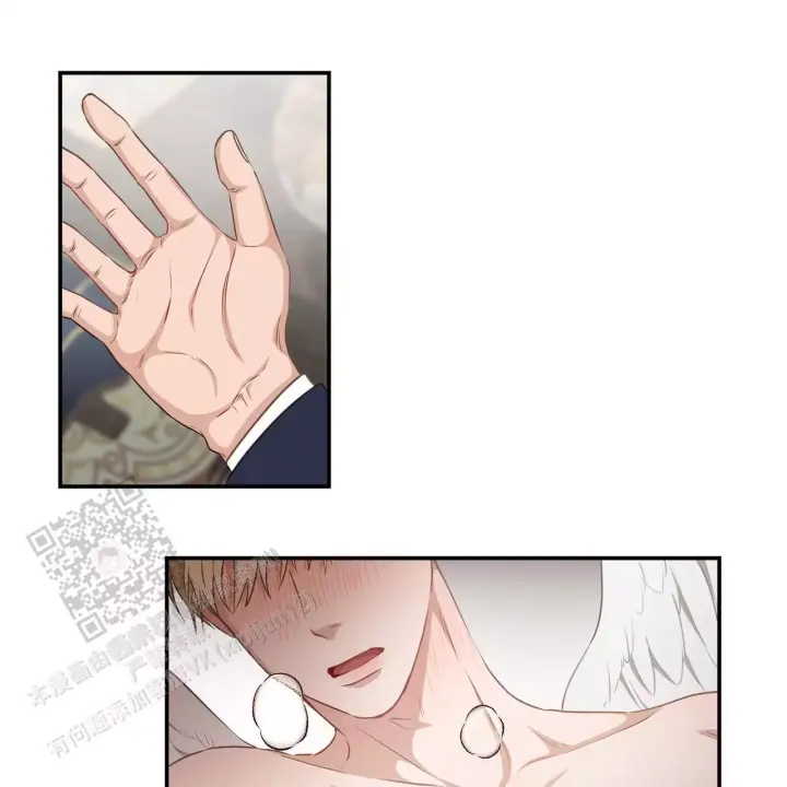46