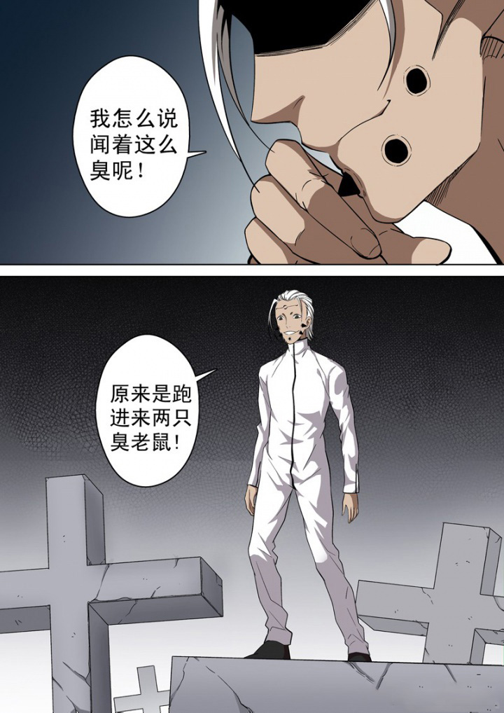 12.jpg