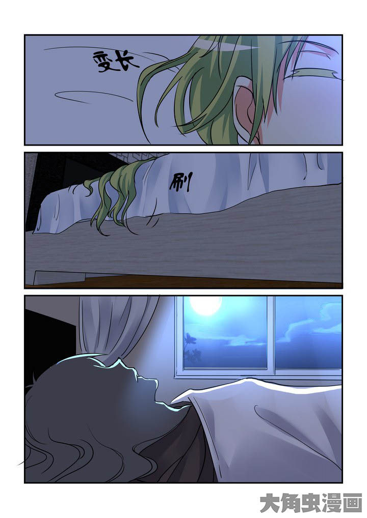 11.jpg