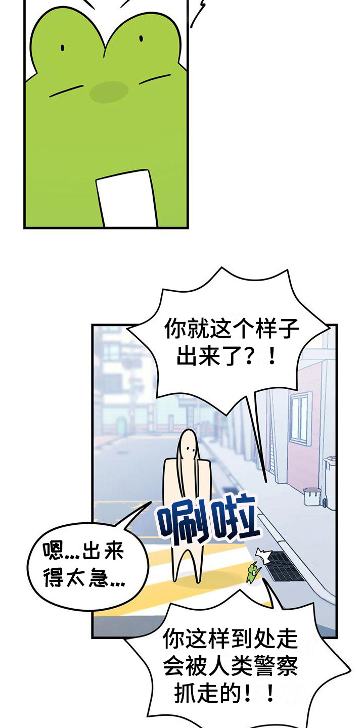 13.jpg