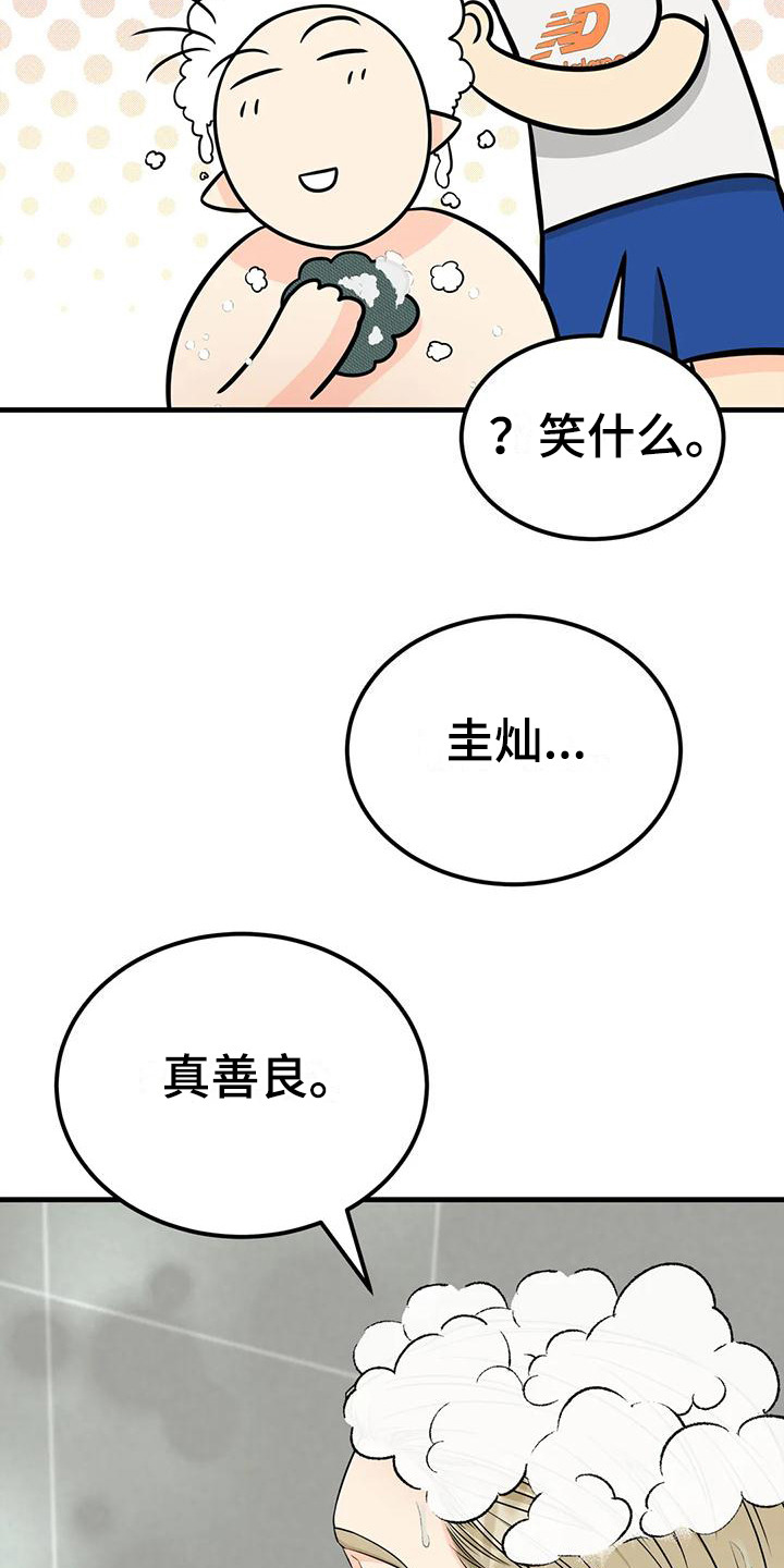 15.jpg